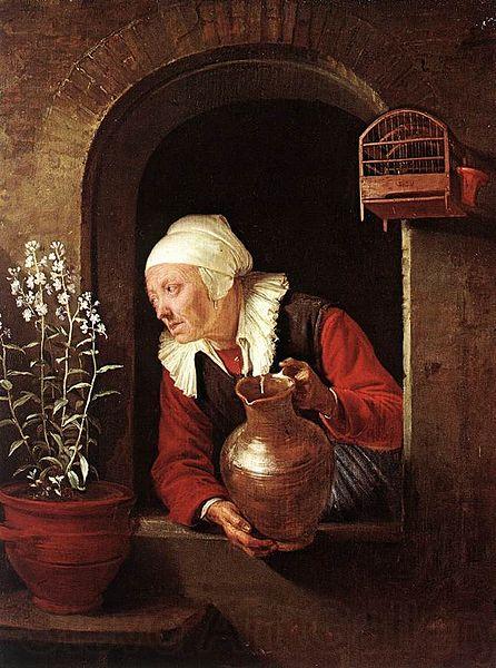 Gerard Dou Old Woman Watering Flowers Germany oil painting art